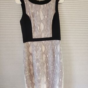 Women's Size 6 Calvin Klein Black and Gray Snake Print Pencil Midi Dress